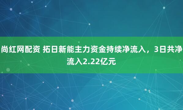 尚红网配资 拓日新能主力资金持续净流入，3日共净流入2.22亿元